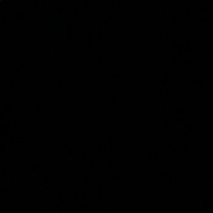 Meet your Posher, Mya